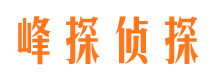 嘉祥市私家侦探